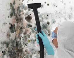 Mold Remediation for Rental Properties in West Sharyland, TX